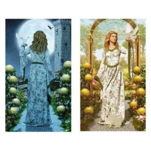 Tarot Vice Versa