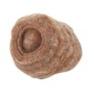 Oeil des Sables - PM - Pièce < 80 Gr