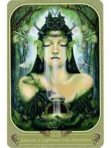 Oracle du Messager - Coffret
