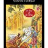 Le Tarot chinois - Apprendre et pratiquer - Un livre et 22 cartes