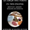 La Magie des huiles et des encens - Protéger