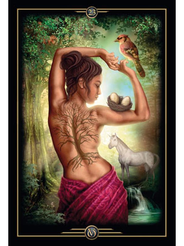 Oracle of Visions